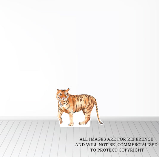 Tiger on Foamboard